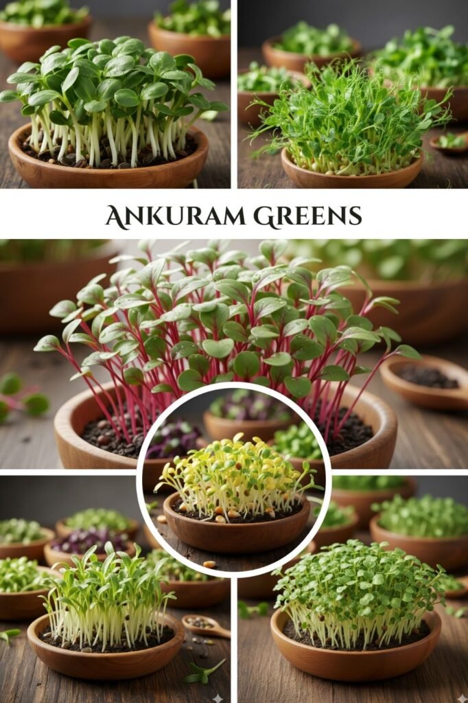 whatsapp image 2025 12 30 at 3.51.15 pm